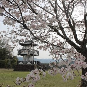 稲葉城公園