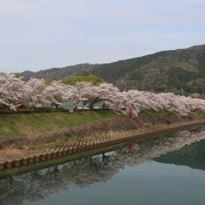 蘇水公園